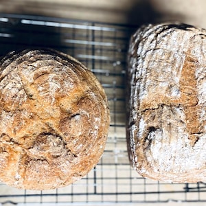 Glutenvrij zuurdesemstarterrecept en voedingsgids