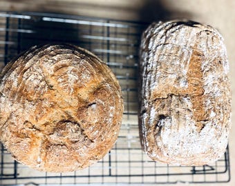 Receta y guía de alimentación para masa madre sin gluten