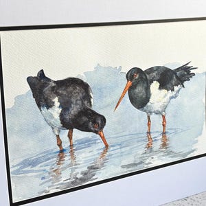 Könnte beinhalten: Aquarellmalerei von zwei Austernfischern im flachen Wasser. Die Vögel haben ein schwarz-weißes Gefieder mit orangefarbenen Schnäbeln und Beinen. Das Kunstwerk ist weiß gerahmt und mit einem schwarzen Rand versehen. Das Gemälde wird auf einer weißen Oberfläche ausgestellt.