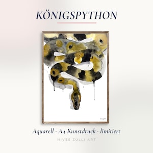 Könnte beinhalten: Ein gerahmter Kunstdruck mit einem Aquarell eines Königspythons mit schwarzen, gelben und grauen Flecken auf weißem Grund. Oben steht der Text KÖNIGSPYTHON, darunter Aquarell A4 Kunstdruck limitiert und NIVES ZÜLLI ART.