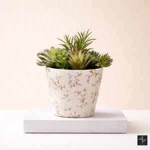 Puede incluir: Una maceta de cerámica blanca con un estampado floral, llena de varias suculentas verdes y rojas. La maceta está colocada sobre una plataforma cuadrada blanca sobre un fondo neutro. El diseño de la maceta presenta pequeñas flores rojas y azules.