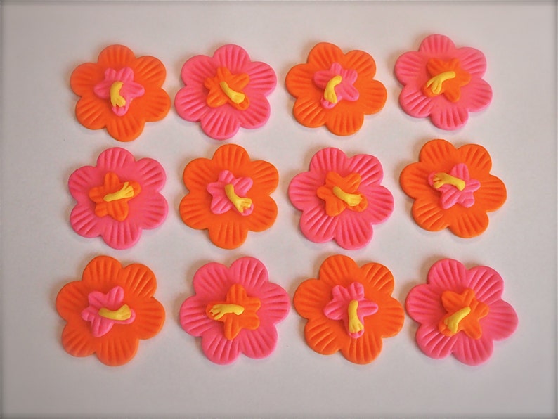 How To Make Small Hibiscus Flowers With Fondant Best Flower Site
