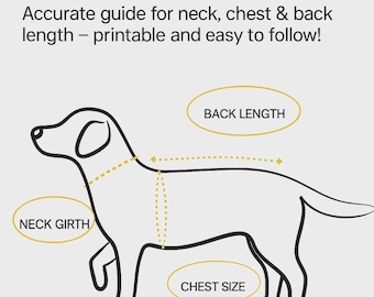 ペットTシャツ サイズ + カラーチャート • 20色 • 犬用Tシャツ サイズ