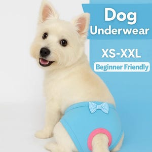 Puede incluir: Un perro blanco lleva ropa interior azul claro para perros con un ribete rosa y un lazo azul claro. La imagen incluye el texto "Dog Underwear" y "PDF Pattern". La ropa interior está disponible en tallas XS-XXL.