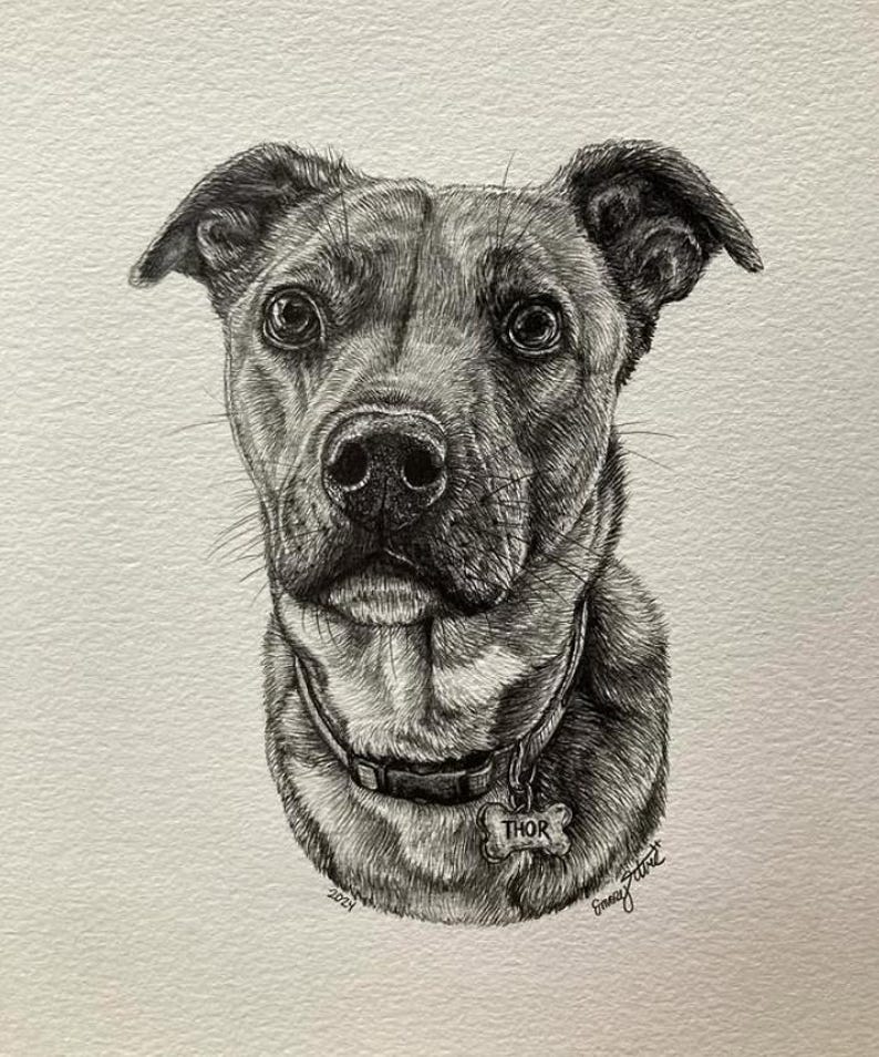 Custom HAND DRAWN Graphite Pet Portraits - Etsy