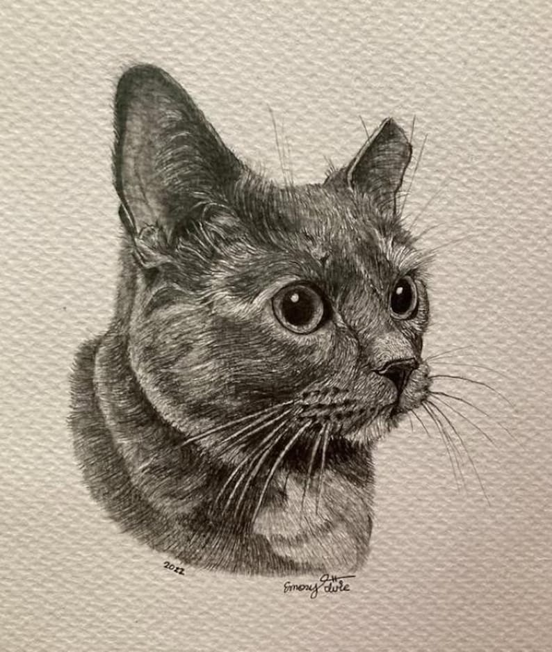 Custom HAND DRAWN Graphite Pet Portraits - Etsy