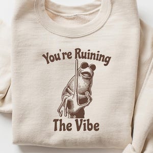 May include: Beige sweatshirt with a crew neck and long sleeves. The front features a brown graphic of a frog wearing sunglasses and holding a pole, with the text "You're Ruining The Vibe" above and below the frog.