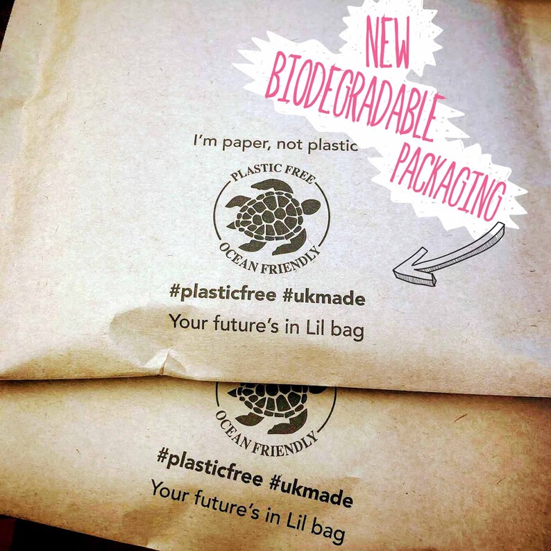 Different types of bears image