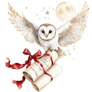 May include: Watercolor illustration of a white owl with outstretched wings, perched atop two rolled scrolls tied with red ribbons. A full moon and stars are in the background. The owl has a brown heart-shaped face and black eyes.
