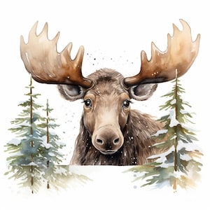 May include: Watercolor painting of a moose with large antlers, facing forward. The moose is brown with a light brown snout and large antlers. Two snow-covered evergreen trees frame the moose. The background is white with watercolor splatters.