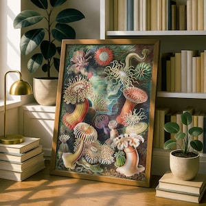 May include: A framed print depicting a vibrant illustration of sea anemones and coral. The artwork showcases a variety of shapes and textures, with a palette of reds, oranges, yellows, and greens. The print is displayed in a wooden frame.