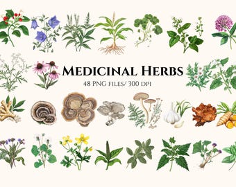 Medicinal Herbs Clipart Herb PNG , Herbal Remedies , Botanical illustration , medicinal Plants