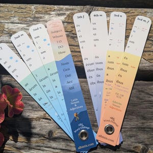 May include: A set of fan-shaped Latin grammar reference cards featuring declension endings for nouns and adjectives. The cards are colour-coded with text including 1st f, 2nd m, 2nd n, 3rd n, 3rd m, f, 4th m, and 5th f. Each card has a metal grommet at the base.