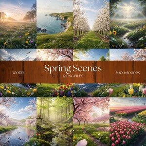 12 ultrarealistische Frühlingsszenen – Blühende Natur, Blumen, Wälder & Wiesen – Fotorealistische digitale Illustrationen im Aquarellstil