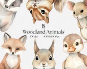 Woodland Animal Watercolor Clipart Bundle – 18 Whimsical Storybook Animals PNG, Cute Nursery & Kids Art