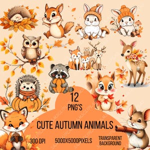 Op de afbeelding: Een verzameling van 12 PNG-afbeeldingen met schattige herfstdieren. De illustraties bevatten een eekhoorn, konijn, uil, vos, hert, wasbeer en egel, met herfstbladeren en pompoenen. De tekst op de afbeelding luidt "CUTE AUTUMN ANIMALS", "300 DPI", "5000X5000PIXELS" en "TRANSPARENT BACKGROUND".