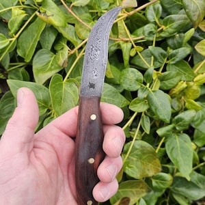 May include: A handcrafted knife with a curved blade and a dark wooden handle. The blade has a unique patterned design. The handle is secured with brass rivets. The knife is held in a hand against a backdrop of green foliage.