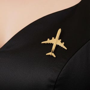 Könnte beinhalten: Eine goldfarbene Flugzeugbrosche, die an einem schwarzen Kleidungsstück befestigt ist. Die Brosche ist eine detaillierte Miniatur eines Flugzeugs mit Flügeln, einem Heck und kleinen Details. Das Kleidungsstück hat einen V-Ausschnitt.