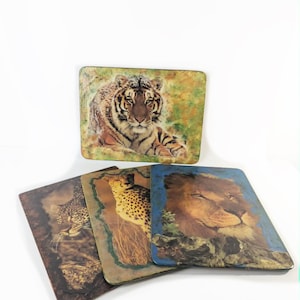 May include: A set of four rectangular placemats featuring detailed wildlife illustrations. One mat displays a tiger, another a cheetah, a third a leopard, and the fourth a lion. Each mat has rounded corners and a distinct colour-themed border.