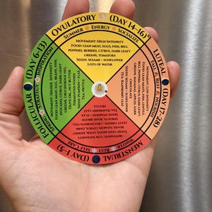 May include: A circular chart divided into four colored quadrants representing menstrual cycle phases: Follicular (green), Ovulatory (yellow), Luteal (peach), and Menstrual (red). Each section lists movement, food, seed, and tea recommendations.