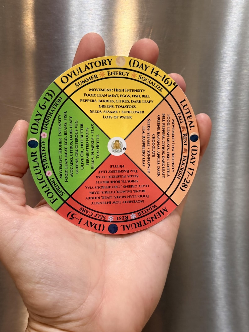 May include: A circular chart divided into four colored quadrants representing menstrual cycle phases: Follicular (green), Ovulatory (yellow), Luteal (peach), and Menstrual (red). Each section lists movement, food, seed, and tea recommendations.