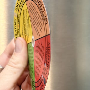 May include: A circular menstrual cycle tracking magnet divided into four colored sections: yellow for Ovulatory, orange for Luteal, red for Menstrual, and green for Follicular. Each section lists movement, food, and tea recommendations.