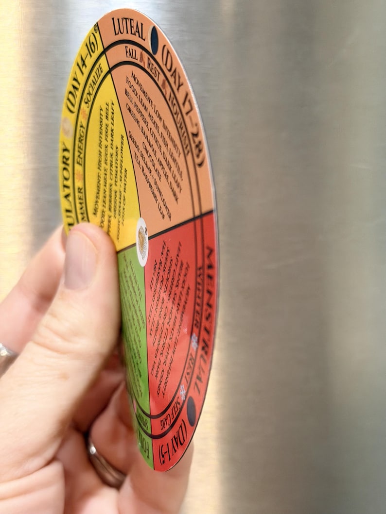 May include: A circular menstrual cycle tracking magnet divided into four colored sections: yellow for Ovulatory, orange for Luteal, red for Menstrual, and green for Follicular. Each section lists movement, food, and tea recommendations.
