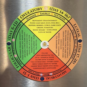 May include: A circular chart divided into four colored quadrants representing menstrual cycle phases: Follicular, Ovulatory, Luteal, and Menstrual. Each section lists movement, food, seed, and tea recommendations with text labels like Spring, Summer, Fall, and Winter.