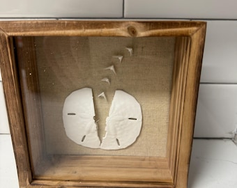 Small deep shadow box made with Sand Dollar shells. Could be hung up on wall or displayed. Makes a great gift and could be used in any room!