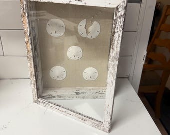 Shadow box made with Sand Dollar shells. May be displayed on wall or Hung on Any Wall. Makes a great gift and could be used in any room!