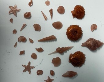 Seashells made with resin. Set of seashells can make a great decor piece. Also can make a nice gift!