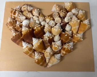 Fighting Conch Canvas Board Art.