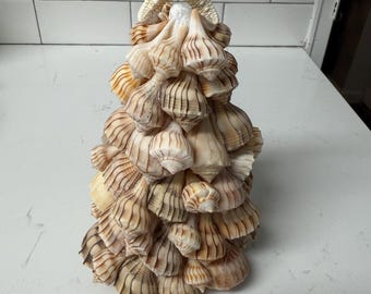 Lightning Whelk Tree Craft