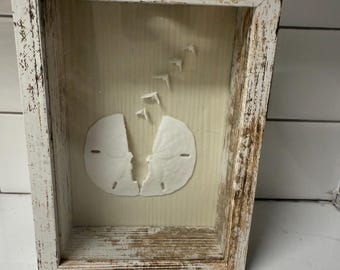 Small deep shadow box made with Sand Dollar shells. Could be hung up on wall or displayed. Makes a great gift and could be used in any room!
