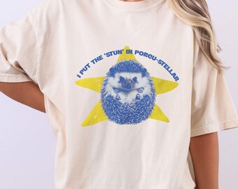 J'ai mis le t-shirt « Star » Porcu-Stellar Space Hedgehog, t-shirt drôle de jeu de mots en porc-épic, chemise graphique rétro Pixel Star, cadeau pour amoureux des animaux de l'espace