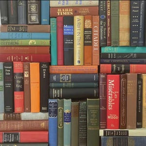 Può includere: Una collezione di libri d'epoca di vari colori e dimensioni. I titoli includono "Hard Times", "Emma" e "Les Misérables". I libri sono impilati, creando un'esposizione visivamente ricca di letteratura.