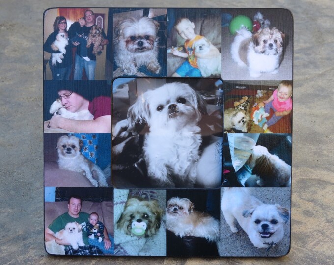 Pet Memorial Collage Frame, Personalized Pet Memorial Picture Frame