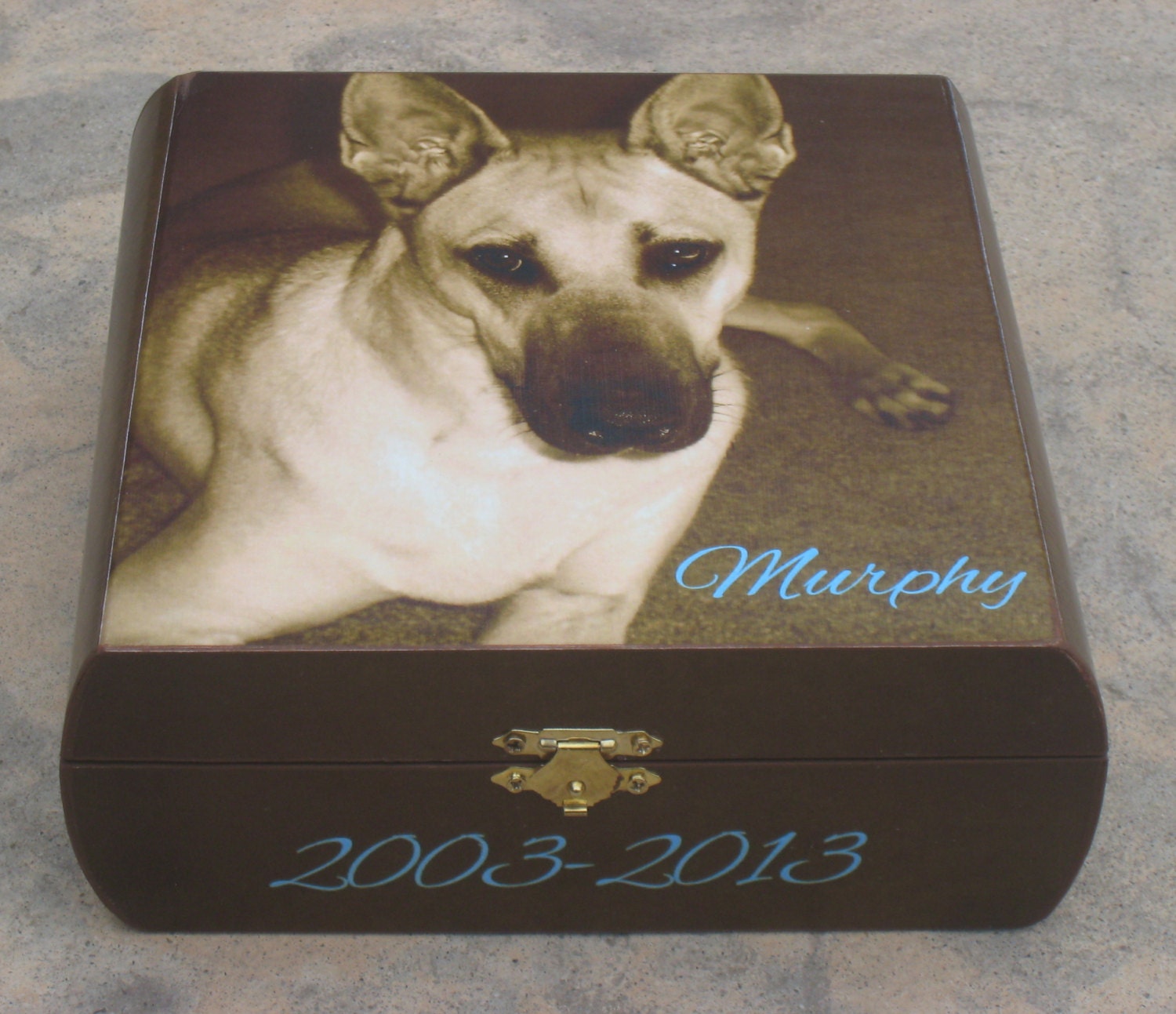 Pet Memorial Keepsake Box Pet Urn Personalized Photo Etsy