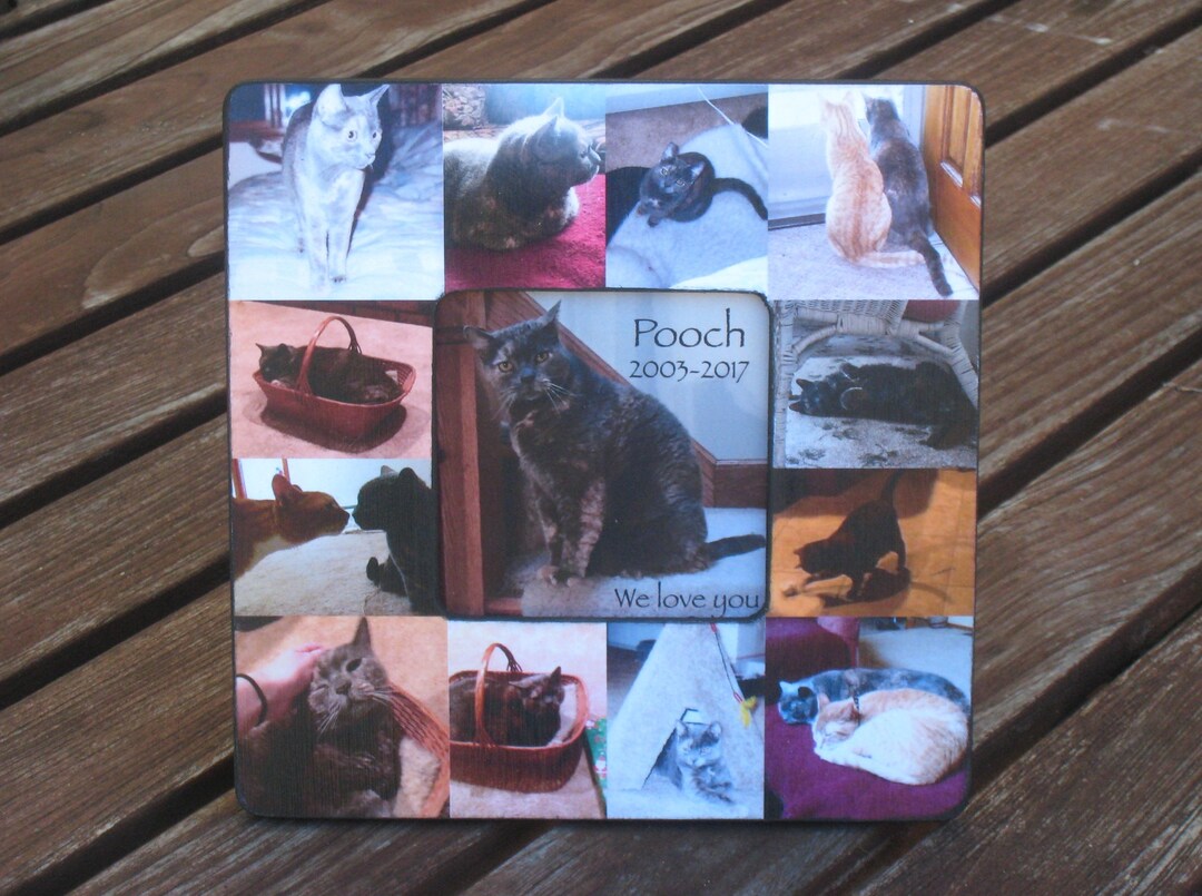 Pet Memorial Collage Picture Frame Personalized Cat Frame Etsy