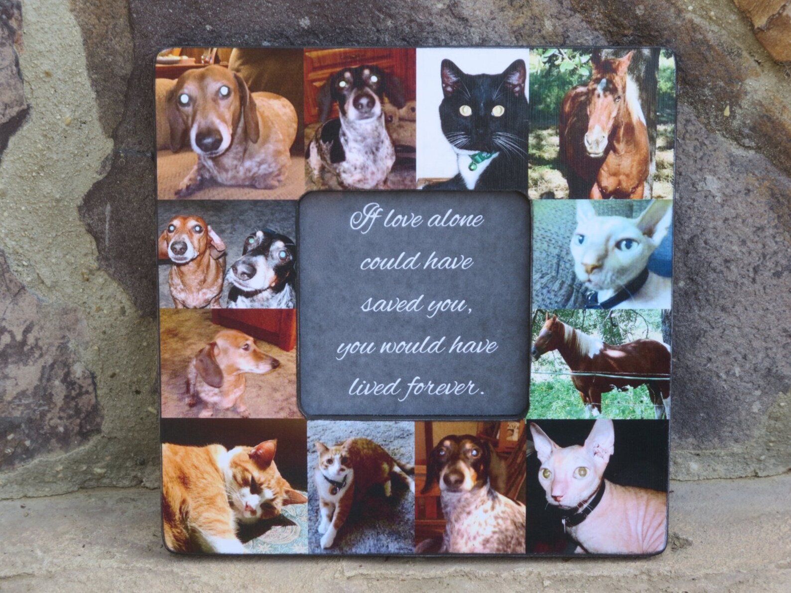 Pet Memorial Frame Pet Collage Picture Frame Personalized Etsy