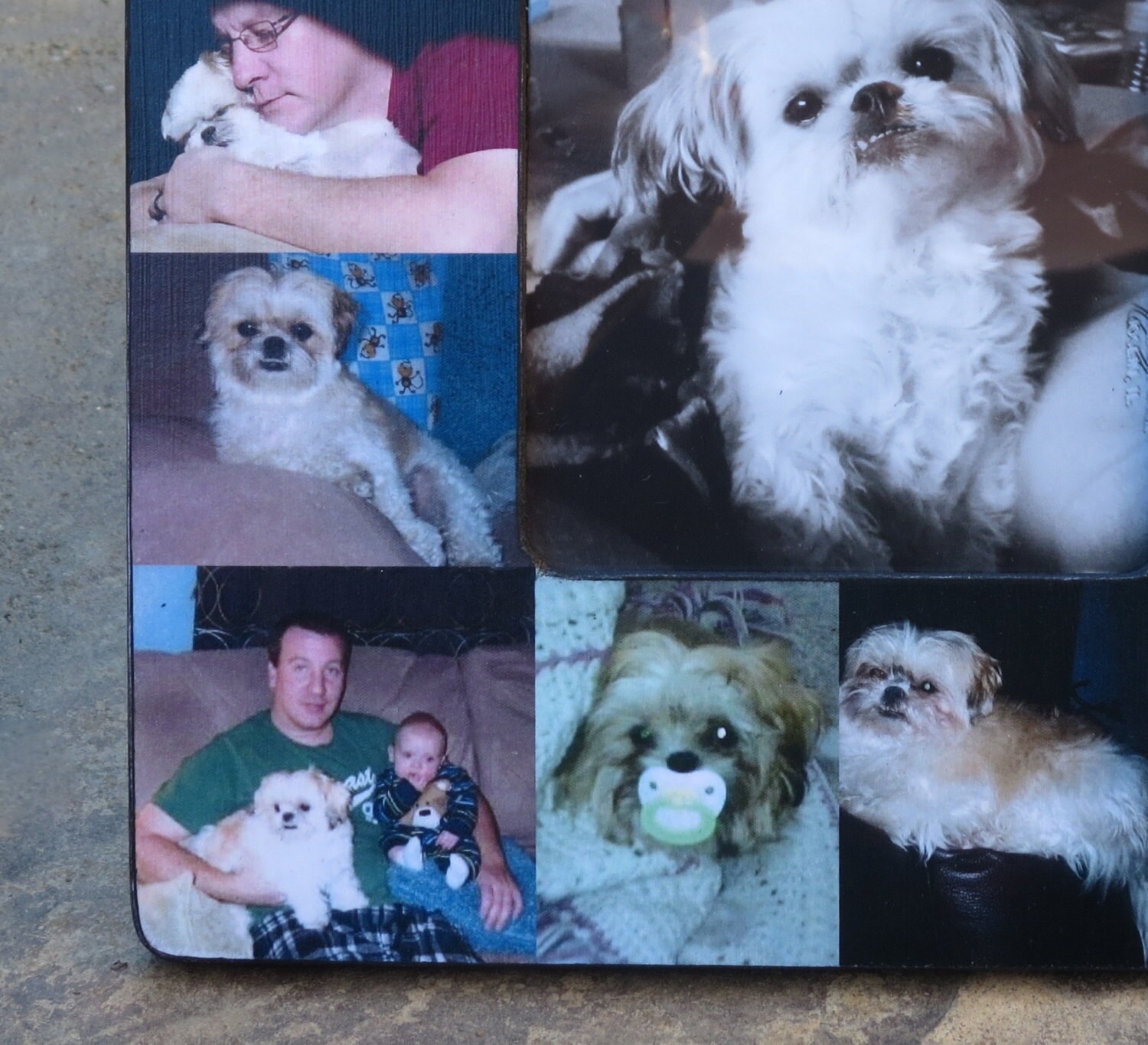 Pet Memorial Collage Frame Personalized Pet Memorial Picture Etsy