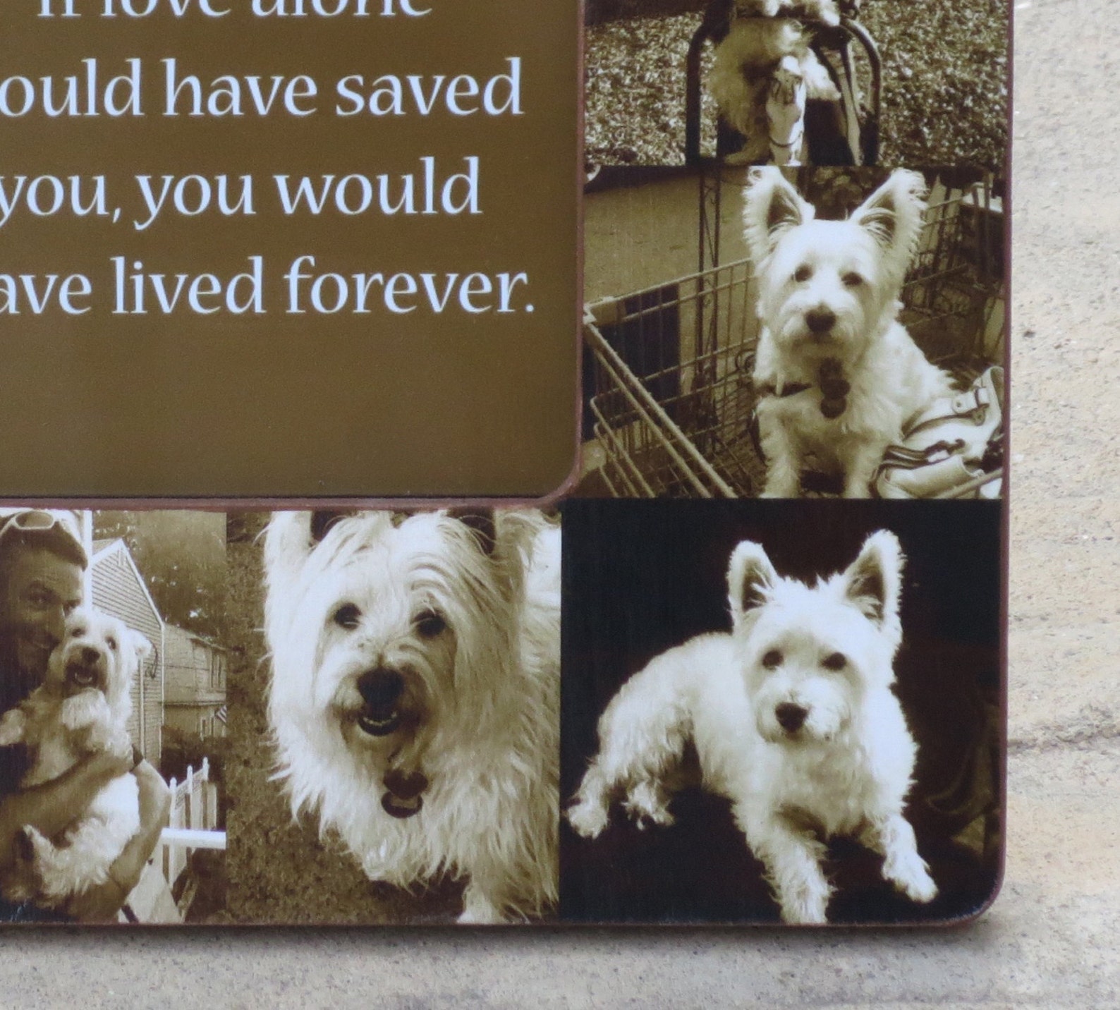 Pet Memorial Frame Personalized Pet Memorial Collage Picture Etsy