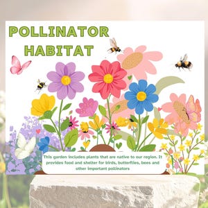 Puede incluir: Un letrero con las palabras "Pollinator Habitat" sobre una colorida ilustración de flores, mariposas y abejas. El letrero incluye texto que describe el propósito del jardín de proporcionar alimento y refugio a los polinizadores.