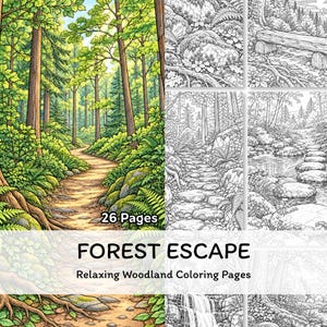 Könnte beinhalten: Ein Malbuch mit dem Titel Forest Escape Relaxing Woodland Coloring Pages mit 26 Seiten. Das Cover zeigt eine farbige Illustration eines gewundenen Waldpfads, umgeben von Bäumen und Farnen, neben schwarz-weißen Strichzeichnungen.
