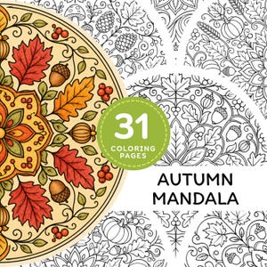 Può includere: Una copertina di un libro da colorare con un design a mandala circolare con motivi autunnali come foglie d'acero rosse e arancioni, ghiande e bacche. Un badge circolare verde mostra il testo 31 COLORING PAGES e AUTUMN MANDALA in nero.