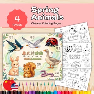 May include: A set of spring animal coloring pages. The main image features illustrations of a swallow, seagull, ladybug, rabbit, squirrel, goose, and earthworm. The text reads "Spring Animals" and "Chinese Coloring Pages". Includes 4 pages.