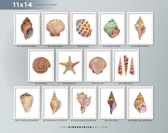 shell wall art feather sea shell series pick one 11x14 prints signed giclee art prints of watercolor paintings shell wall decor wall art etsy shell wall art feather sea shell series pick one 11x14 prints signed giclee art prints of watercolor paintings shell wall decor wall art etsy