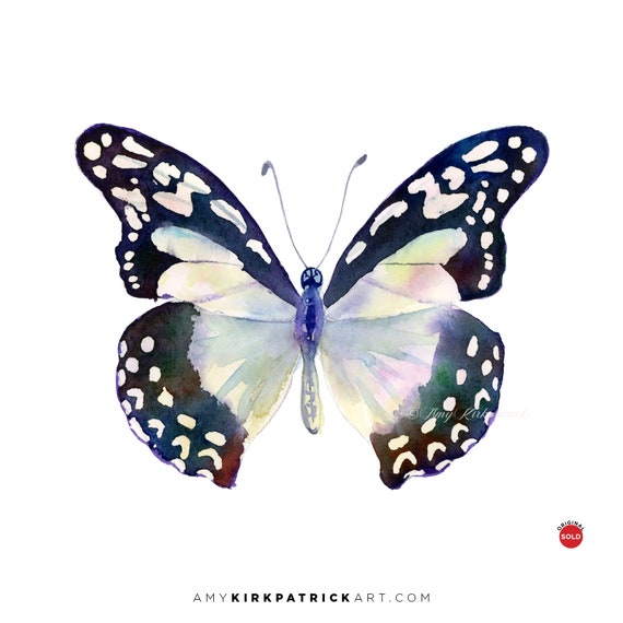 Blue Butterfly Wall Decor by Amy Kirkpatrick Signed Art Prints BRENTON