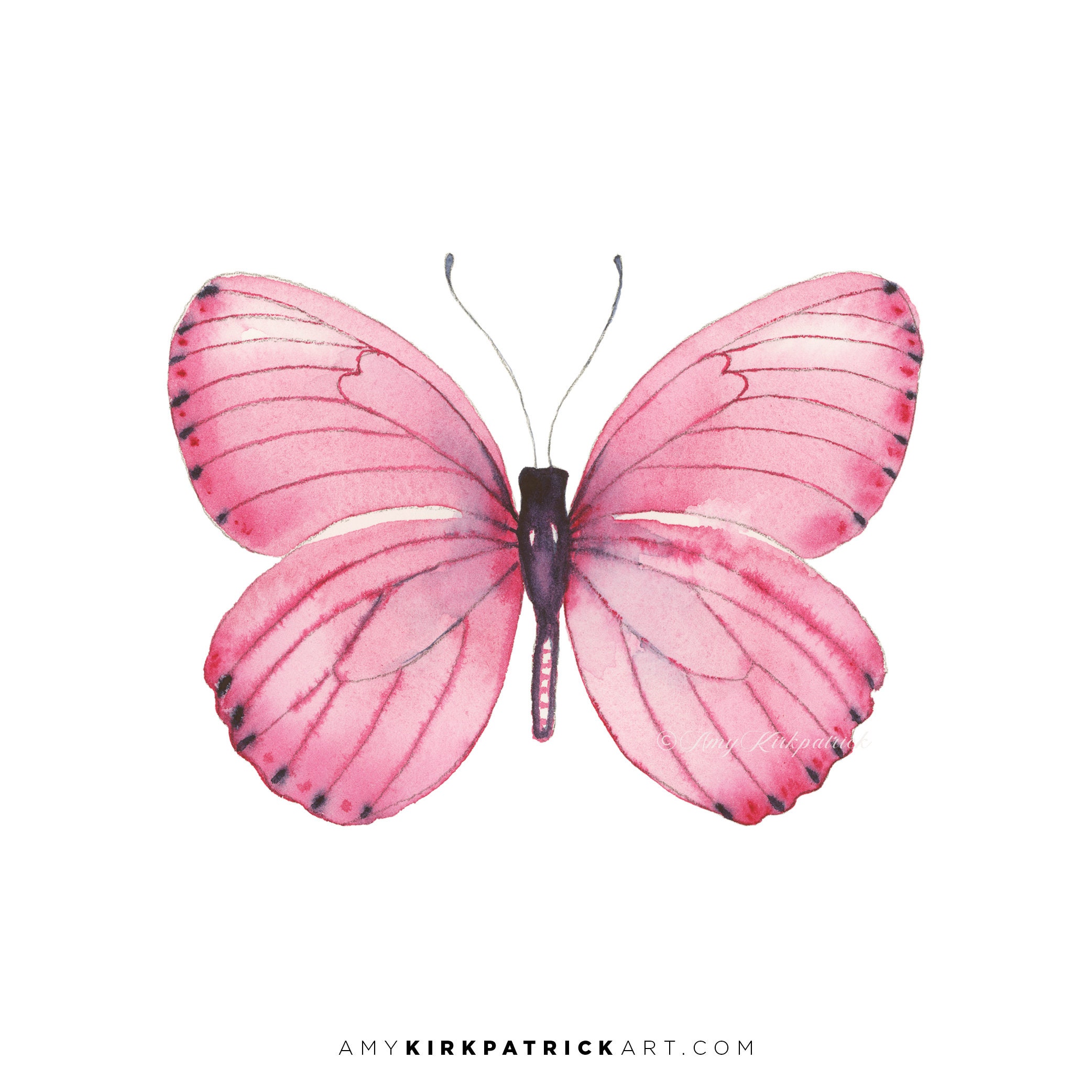 Бабочки розовые распечатать. Розовые бабочки. Акварельные бабочки розовые. Розовые бабочки фотопечать.