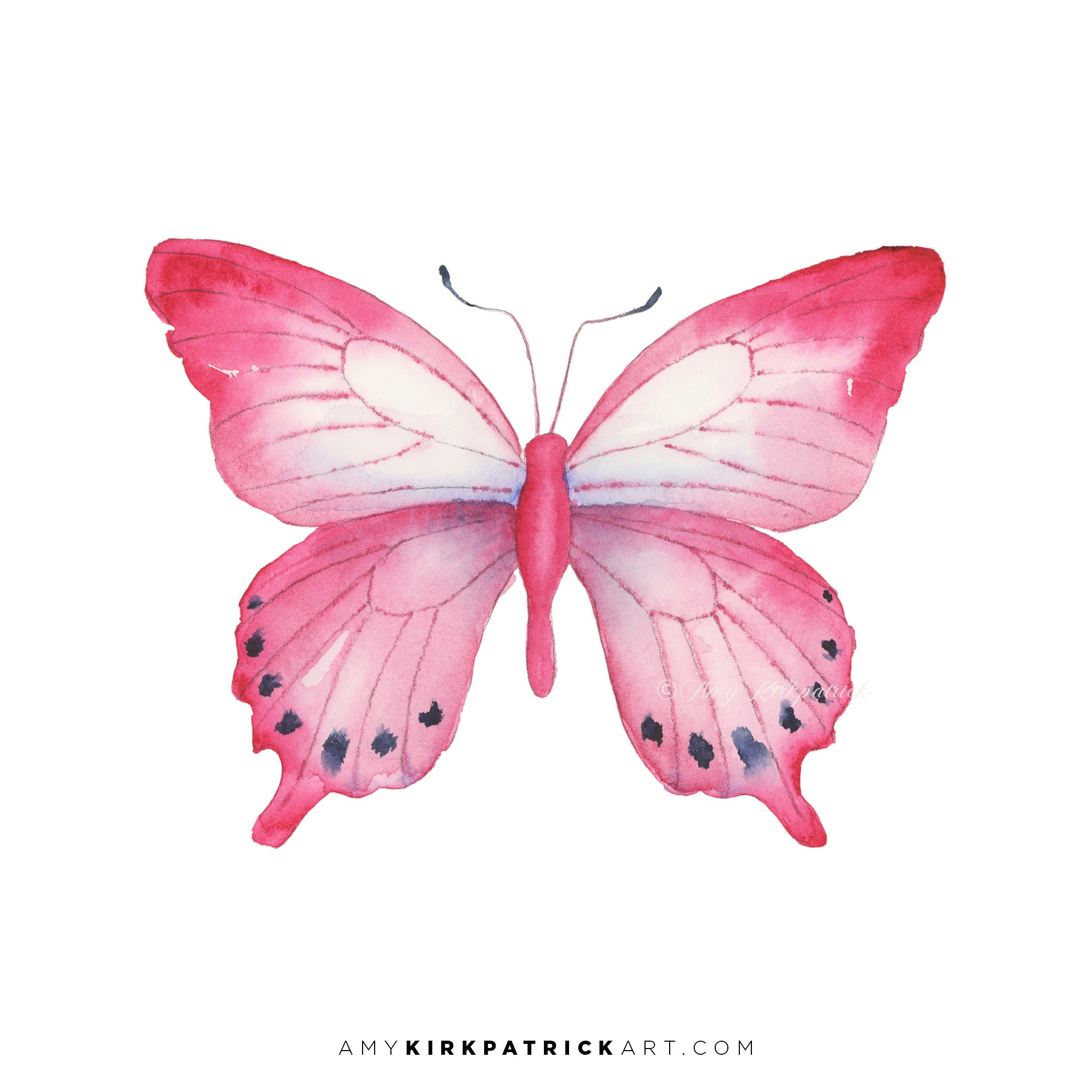 Бабочки розовые распечатать. Розовые бабочки. Бабочки бело розовые. Бабочка рисунок. Розовые бабочки на белом фоне.